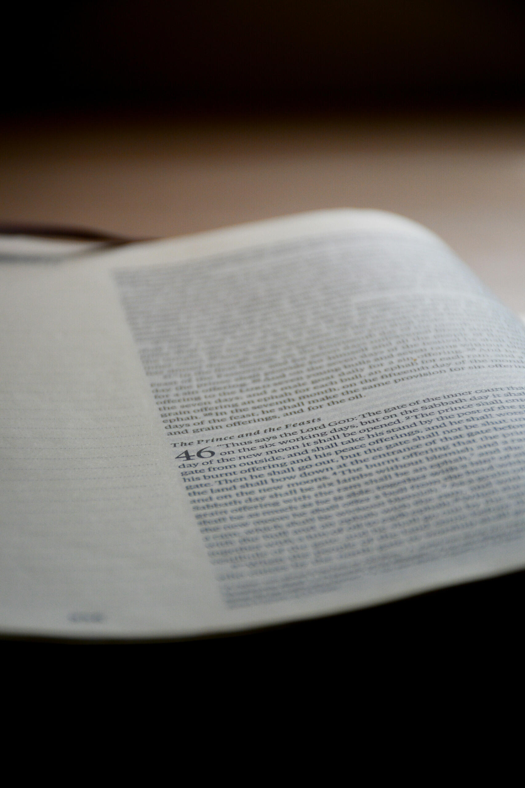 Photo by Mathilde Hugdal on Unsplash